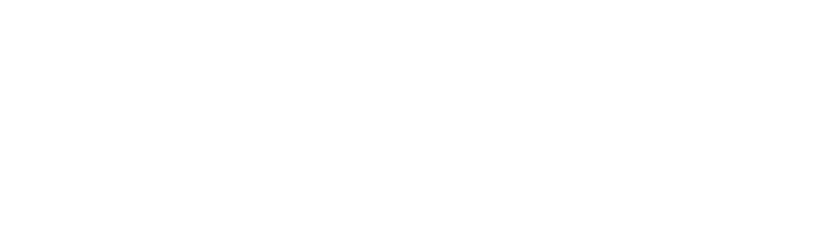 Item 5